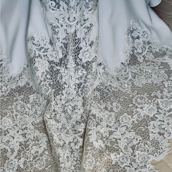 Amy - Picture 2 of 5